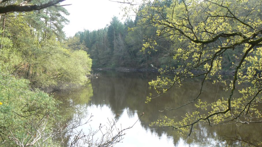 Malestroit (9)